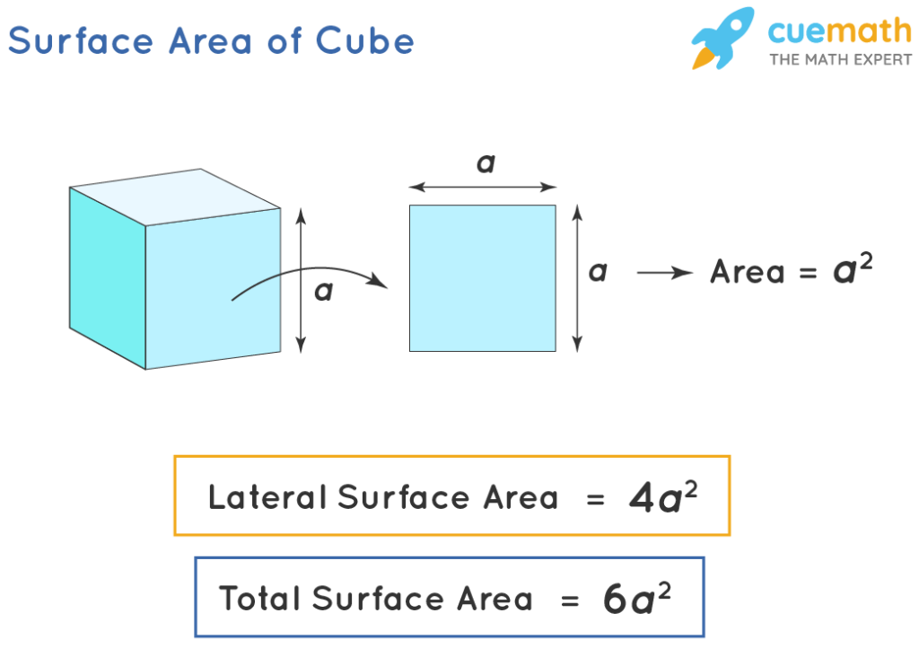 lateral and curved surface area of cube cuboid and cylinder